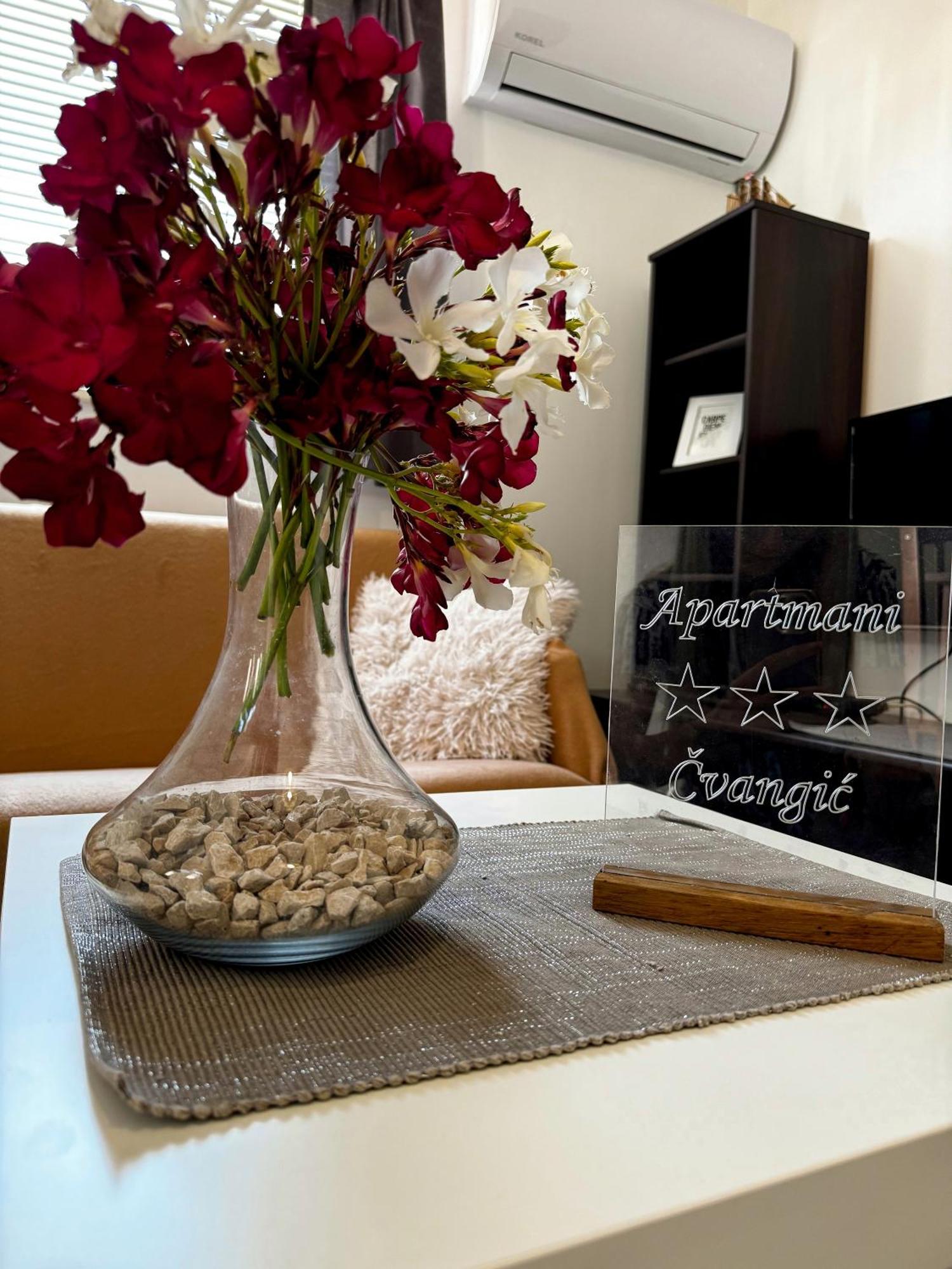 Apartmani Cvangic Vir Εξωτερικό φωτογραφία