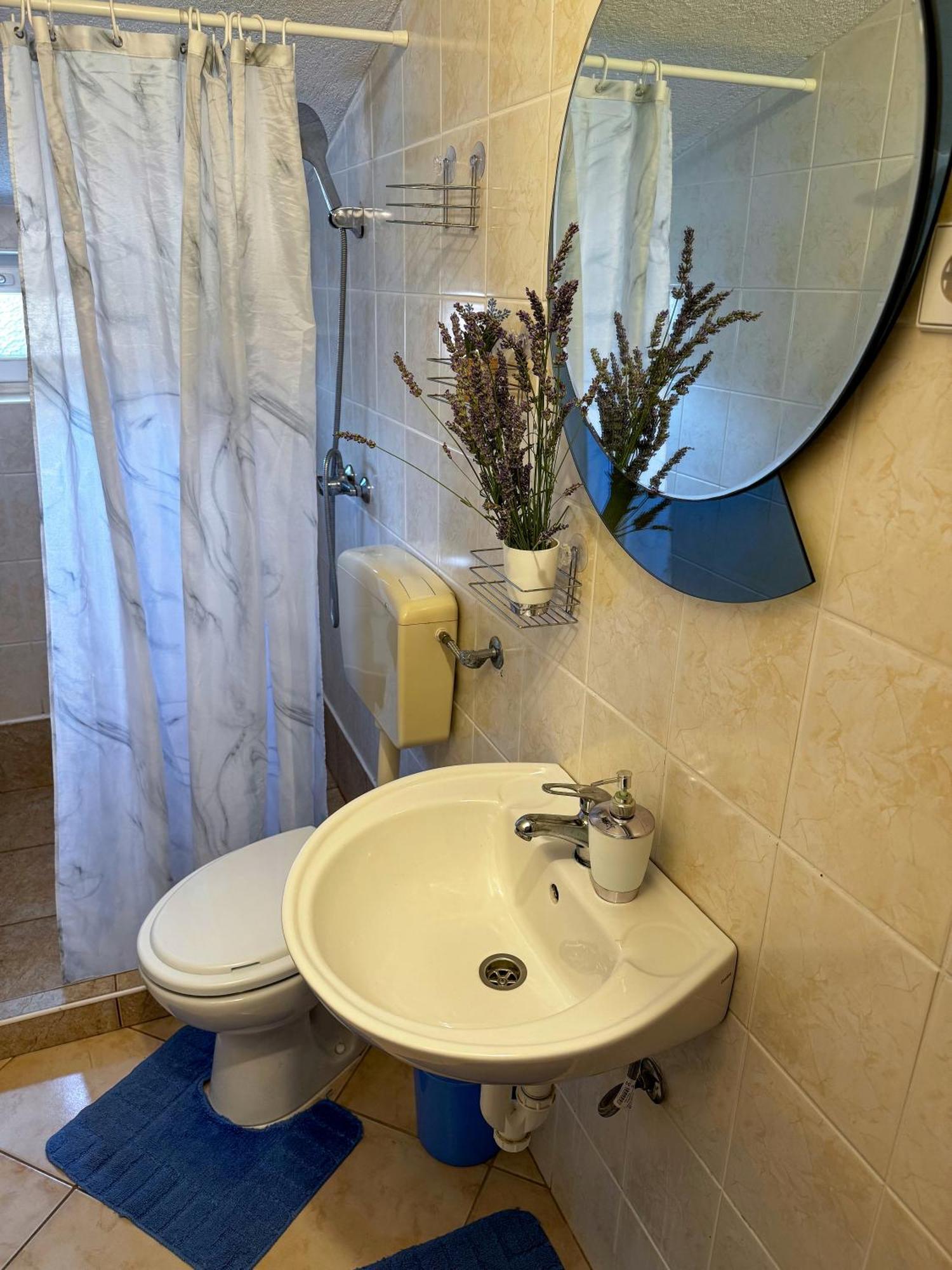 Apartmani Cvangic Vir Εξωτερικό φωτογραφία